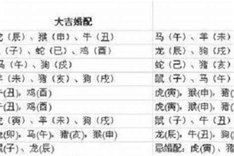 97年 生肖|97年属什么 97年属什么命